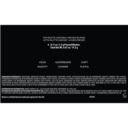 Motives®好氣色6色腮紅盤